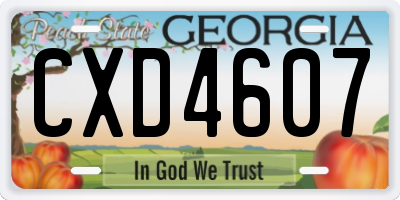 GA license plate CXD4607
