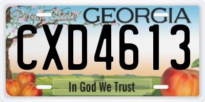 GA license plate CXD4613