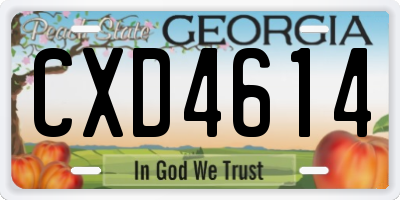GA license plate CXD4614