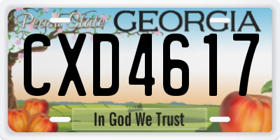 GA license plate CXD4617