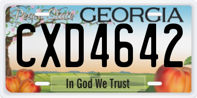 GA license plate CXD4642