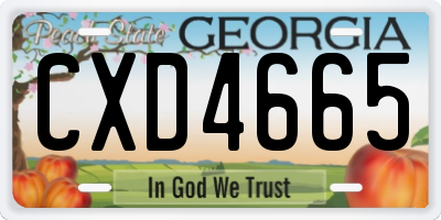 GA license plate CXD4665