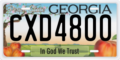 GA license plate CXD4800