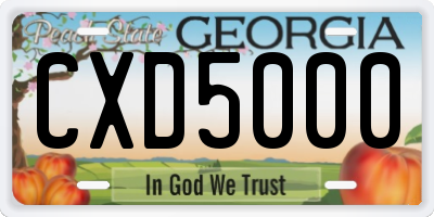 GA license plate CXD5000