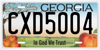 GA license plate CXD5004