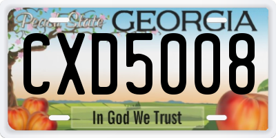 GA license plate CXD5008