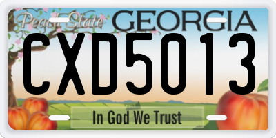GA license plate CXD5013