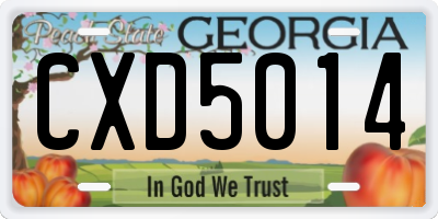 GA license plate CXD5014
