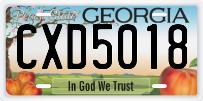 GA license plate CXD5018