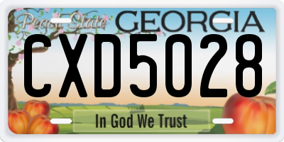 GA license plate CXD5028