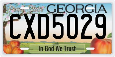 GA license plate CXD5029
