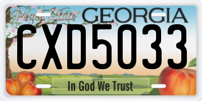 GA license plate CXD5033