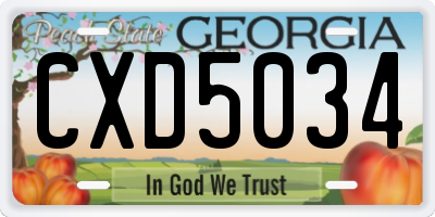 GA license plate CXD5034