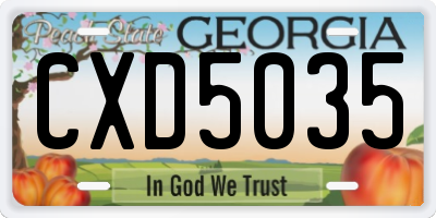 GA license plate CXD5035