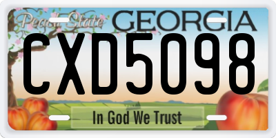 GA license plate CXD5098
