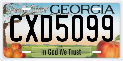 GA license plate CXD5099