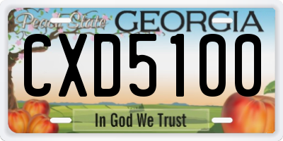 GA license plate CXD5100