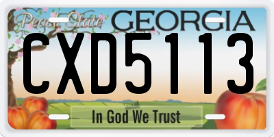 GA license plate CXD5113