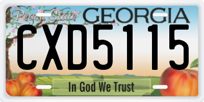 GA license plate CXD5115