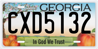 GA license plate CXD5132