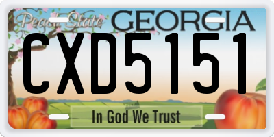 GA license plate CXD5151