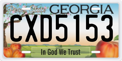 GA license plate CXD5153