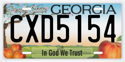 GA license plate CXD5154