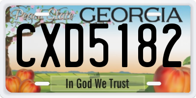 GA license plate CXD5182