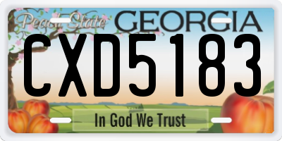 GA license plate CXD5183