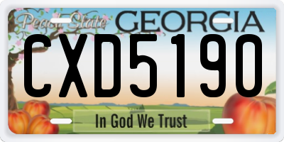 GA license plate CXD5190