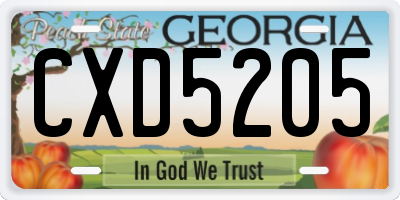 GA license plate CXD5205