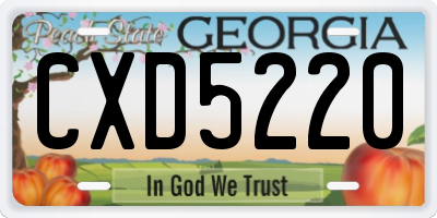 GA license plate CXD5220