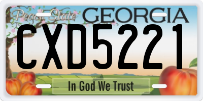 GA license plate CXD5221