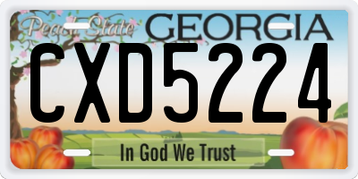 GA license plate CXD5224