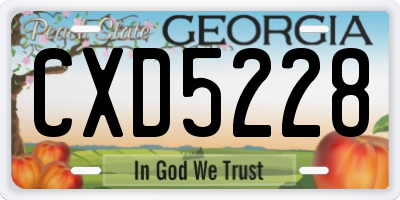 GA license plate CXD5228