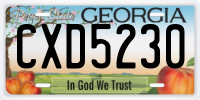 GA license plate CXD5230