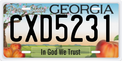 GA license plate CXD5231