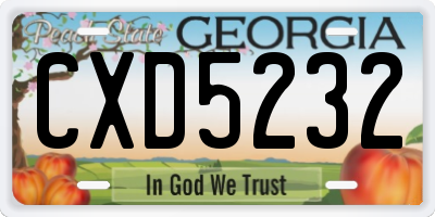 GA license plate CXD5232