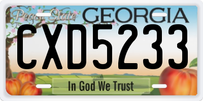 GA license plate CXD5233