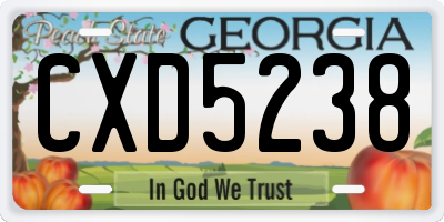 GA license plate CXD5238