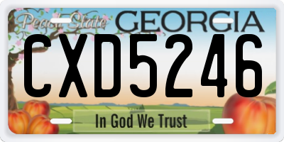 GA license plate CXD5246
