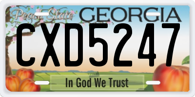 GA license plate CXD5247