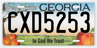 GA license plate CXD5253