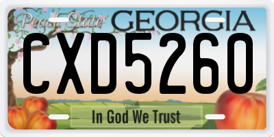 GA license plate CXD5260