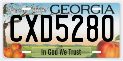 GA license plate CXD5280