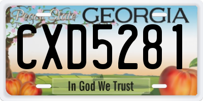 GA license plate CXD5281