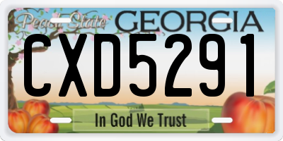 GA license plate CXD5291