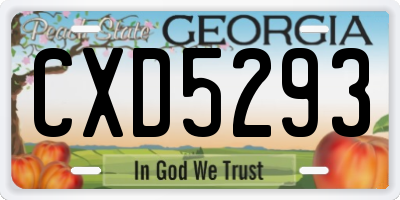 GA license plate CXD5293