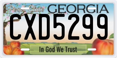 GA license plate CXD5299