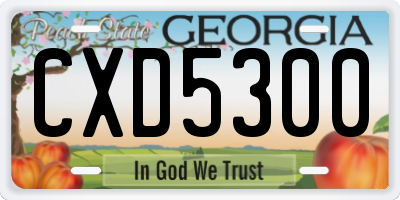 GA license plate CXD5300